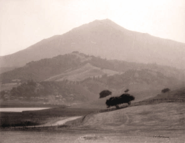 (image for) Mt. Tamalpais, Marin County, California - Platinum - Click Image to Close